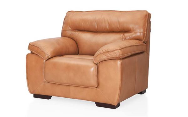 Alquist Single Seater Genuine Leather Sofa